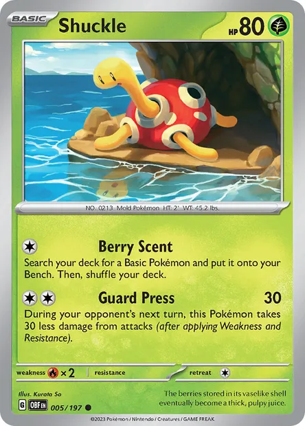 Shuckle, Pokémon card OBF 005 — Obsidian Flames set