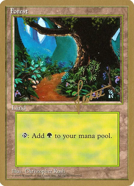 Forêt, carte Magic PTC bl376 — extension Pro Tour Collector Set