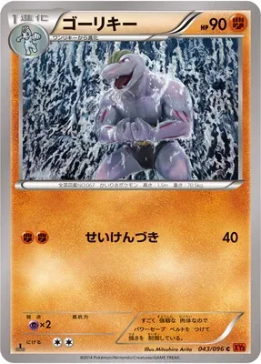 Machoke, Pokémon card XY3 043 — Rising Fist set