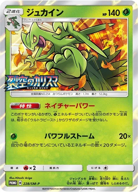 Sceptile, Pokémon card SMP 228 — SM-P: Sun & Moon Promos set