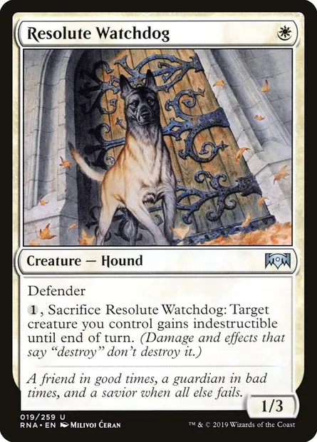 Resolute Watchdog, Magic card RNA 19 — Ravnica Allegiance set