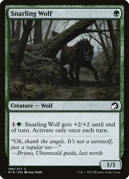 Snarling Wolf, Magic card MID 199 — Innistrad: Midnight Hunt set