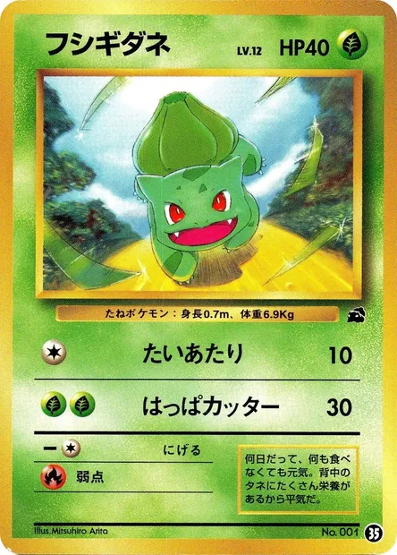 Bulbasaur, Pokémon card IPBULB ct339362 — Intro Pack Bulbasaur set