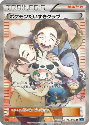 Pokémon Fan Club, Pokémon card XY2 087 — Wild Blaze set
