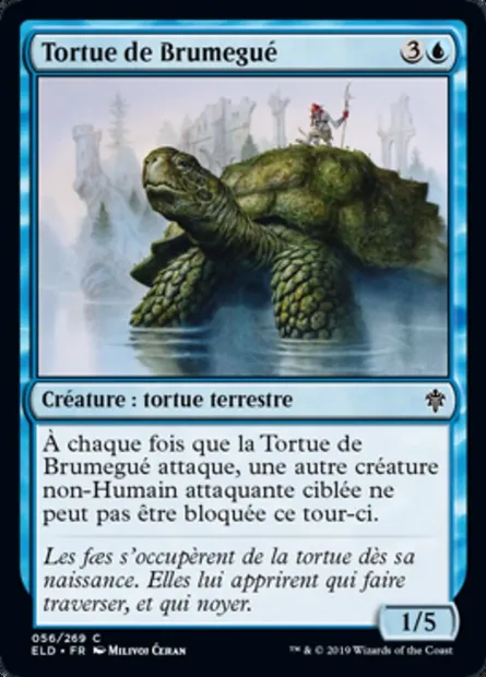 Tortue de Brumegué, carte Magic ELD 56 — extension Throne of Eldraine