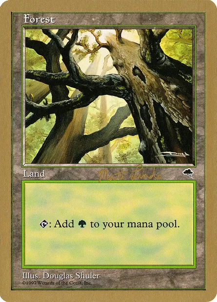 Forêt, carte Magic WC99 ml347a — extension World Championship Decks 1999
