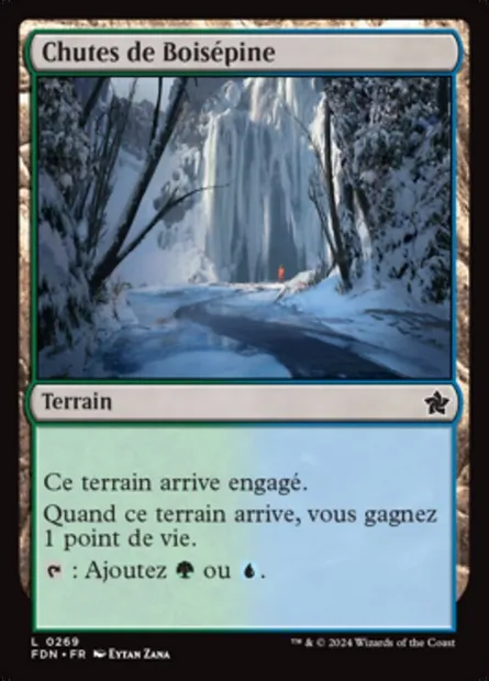 Chutes de Boisépine, carte Magic FDN 269 — extension Foundations