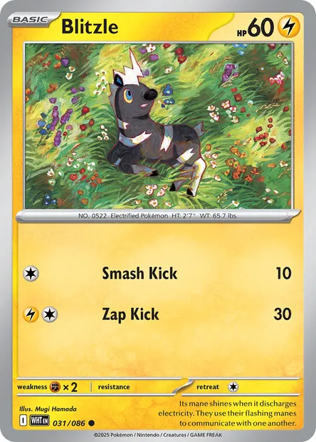 Blitzle, Pokémon card WHT 031 — White Flare set