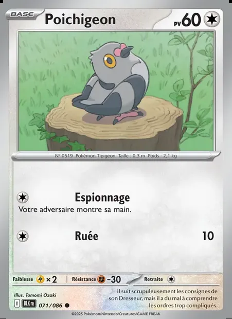 Poichigeon, carte Pokémon BLK 071 — extension Foudre Noire