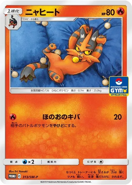 Torracat, Pokémon card SMP 313 — SM-P: Sun & Moon Promos set
