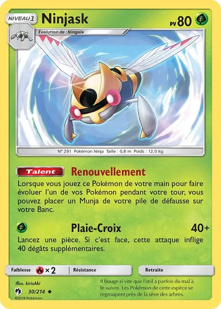 Ninjask, carte Pokémon LOT 30 — extension Tonnerre Perdu