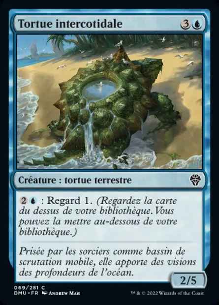 Tortue intercotidale, carte Magic DMU 69 — extension Dominaria Uni