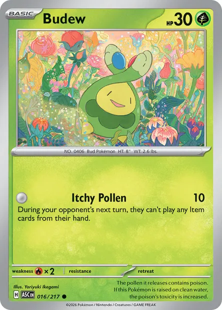 Budew, Pokémon card ASC 016 — Ascended Heroes set