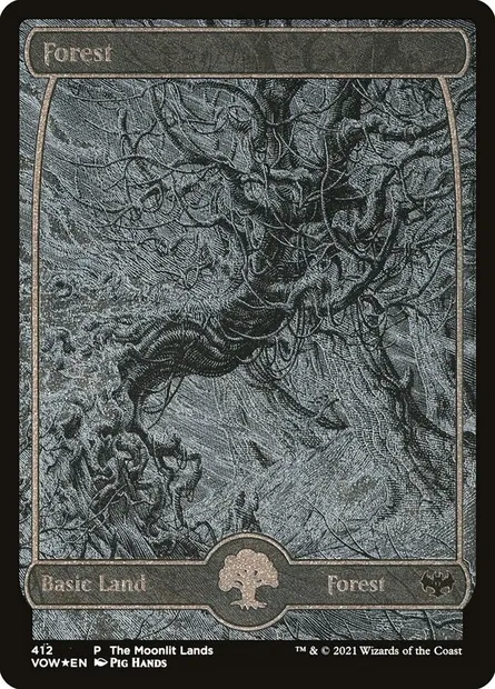 Forêt, carte Magic VOW 412 — extension Innistrad : noce écarlate