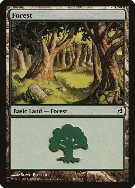 Forest, Magic card LRW 300 — Lorwyn set