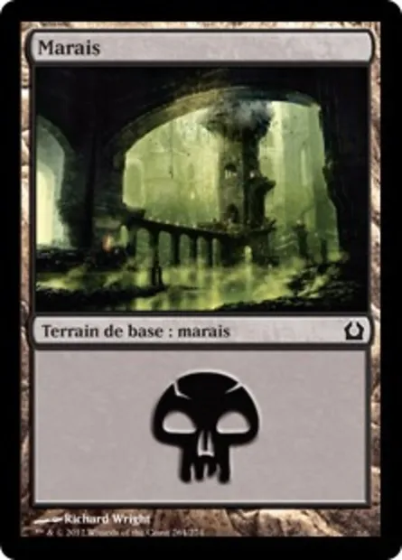 Marais, carte Magic RTR 264 — extension Retour à Ravnica
