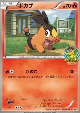 Tepig, Pokémon card BWP 035 — BW Promos set