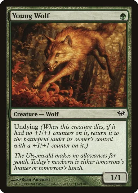 Young Wolf, Magic card DKA 134 — Dark Ascension set