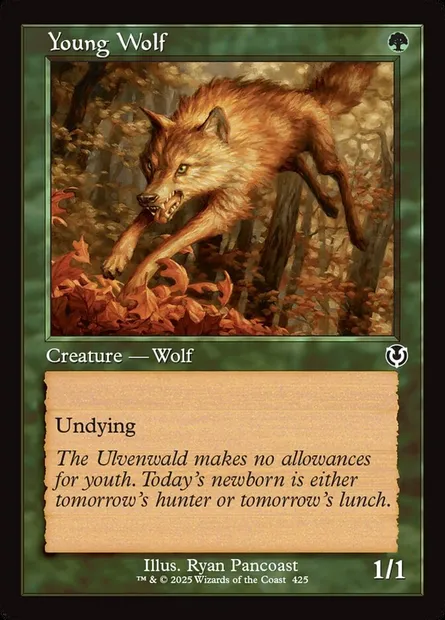 Young Wolf, Magic card INR 425 — Innistrad Remastered set