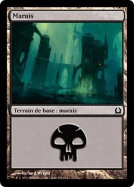 Marais, carte Magic RTR 263 — extension Retour à Ravnica