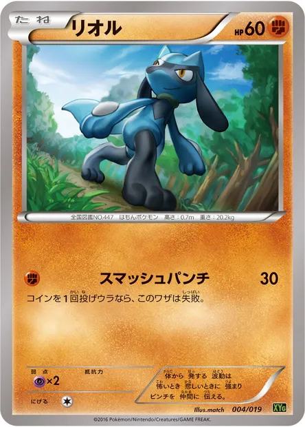 Riolu, carte Pokémon XYG 004 — extension Zygarde EX Perfect Battle Deck