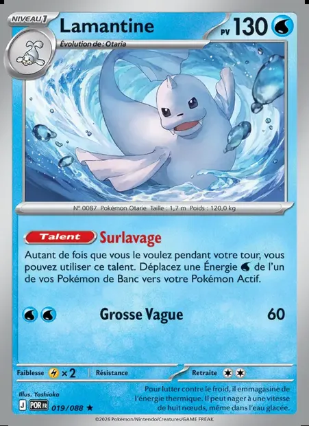 Lamantine, carte Pokémon POR 019 — extension Équilibre Parfait