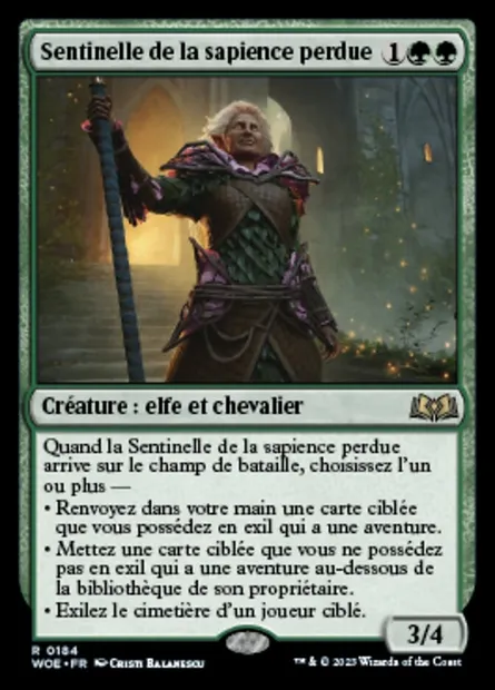 Sentinelle de la sapience perdue, carte Magic WOE 184 — extension Wilds of Eldraine
