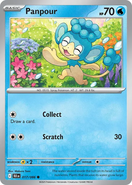 Panpour, Pokémon card BLK 017 — Black Bolt set