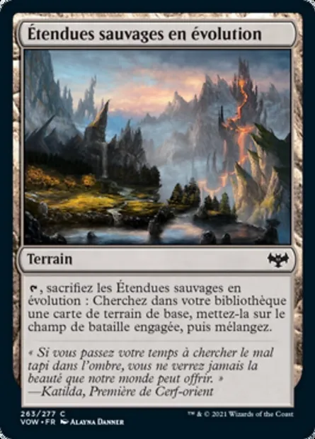 Étendues sauvages en évolution, carte Magic VOW 263 — extension Innistrad : noce écarlate