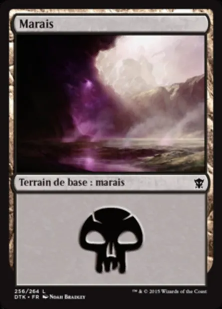 marais, carte Magic DTK 256 — extension Les Dragons de Tarkir