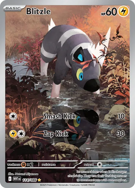 Blitzle, Pokémon card WHT 114 — White Flare set