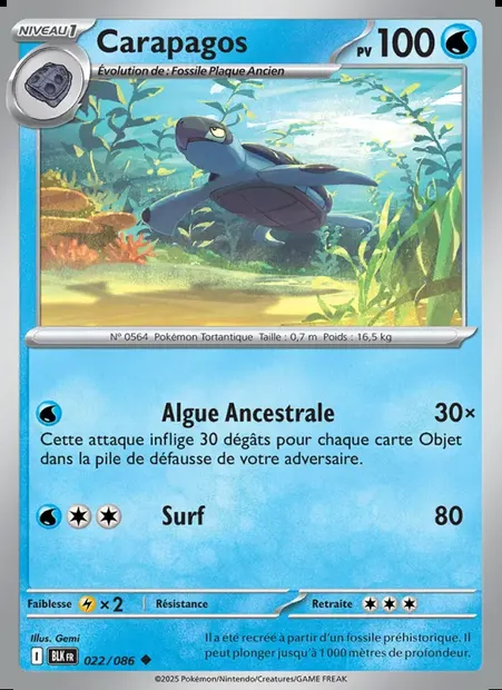 Carapagos, carte Pokémon BLK 022 — extension Foudre Noire