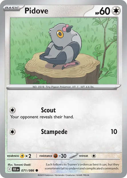Pidove, Pokémon card BLK 071 — Black Bolt set