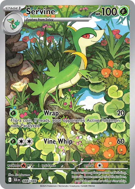 Servine, Pokémon card BLK 088 — Black Bolt set