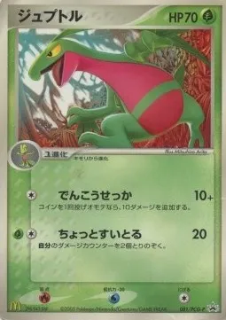 Massko, carte Pokémon PCG-P 081 — extension PCG Promos