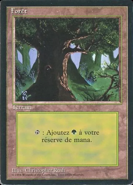 Forest, Magic card FBB 306 — Foreign Black Border set