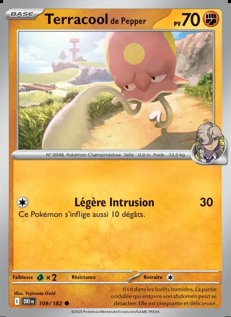 Terracool de Pepper, carte Pokémon DRI 109 — extension Rivalités Destinées