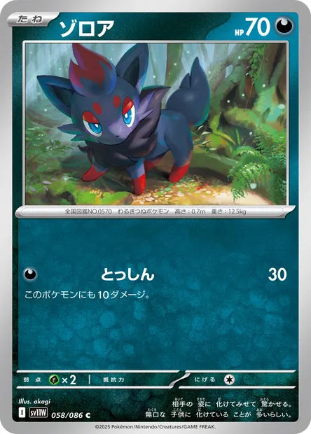 Zorua, Pokémon card SV11W 058 — White Flare set