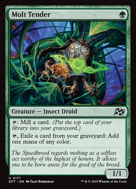 Molt Tender, Magic card DFT 171 — Aetherdrift set