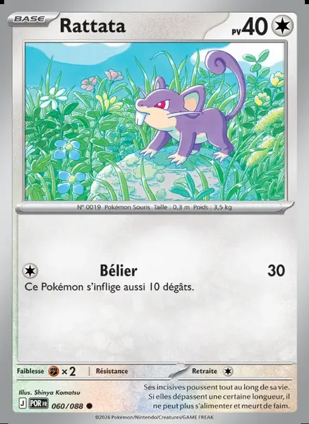 Rattata, carte Pokémon POR 060 — extension Équilibre Parfait