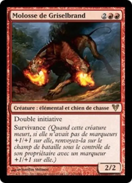 Molosse de Griselbrand, carte Magic AVR 141 — extension Avacyn ressuscitée