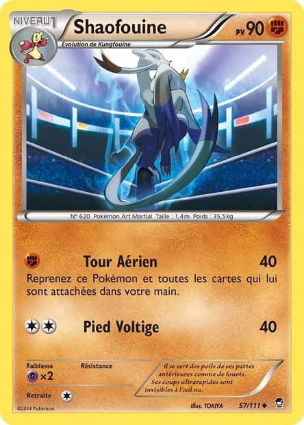 Shaofouine, carte Pokémon FFI 57 — extension Poings Furieux