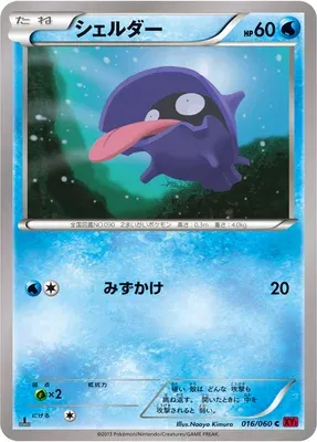 Shellder, Pokémon card XY1B 016 — Collection Y set