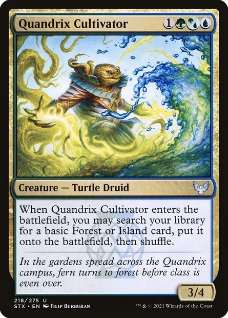 Quandrix Cultivator, Magic card STX 218 — Strixhaven: School of Mages set
