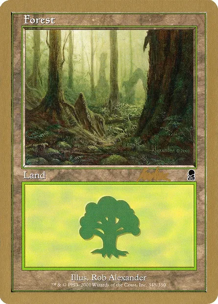 Forest, Magic card WC02 bk348 — World Championship Decks 2002 set