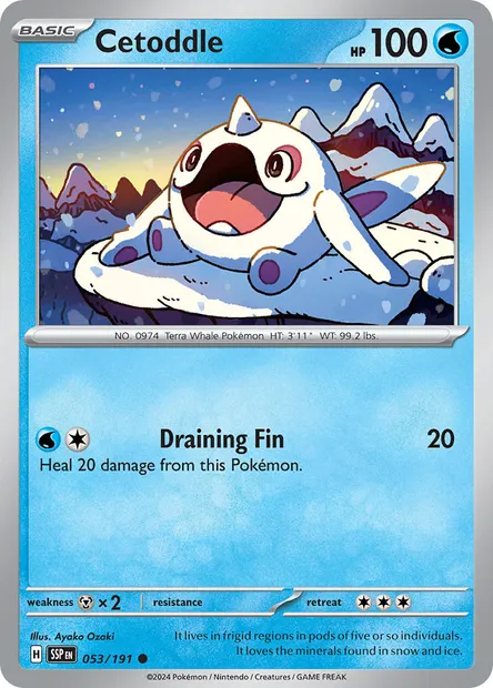 Cetoddle, Pokémon card SSP 053 — Surging Sparks set