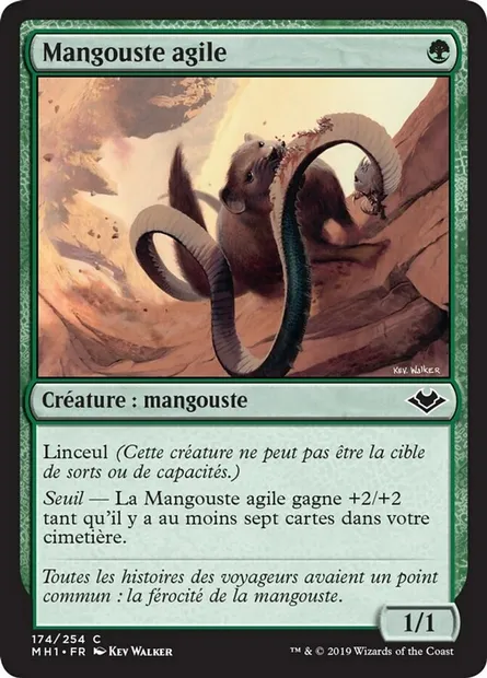 Mangouste agile, carte Magic MH1 174 — extension Horizons du Modern