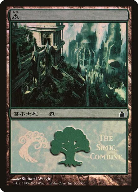 Forest, Magic card PMPS 306 — Magic Premiere Shop 2005 set