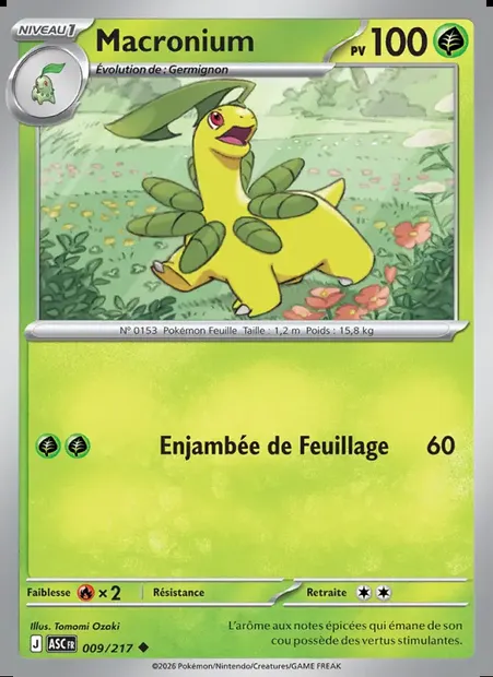 Macronium, carte Pokémon ASC 009 — extension Héros Transcendants