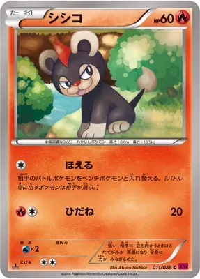 Litleo, Pokémon card XY4 011 — Phantom Gate set